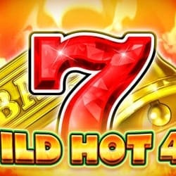 WILD HOT 40 screenshot